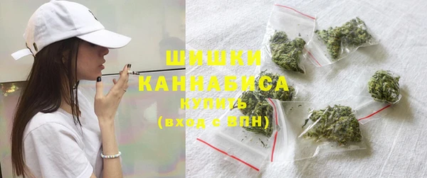 трава Арсеньев