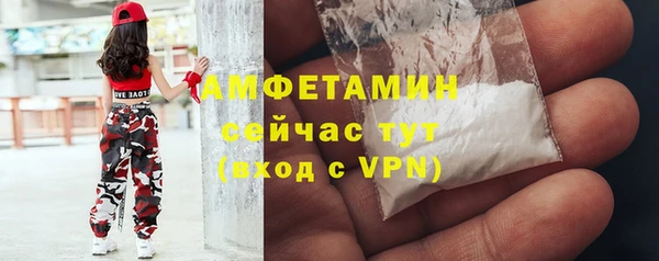 ECSTASY Павловск