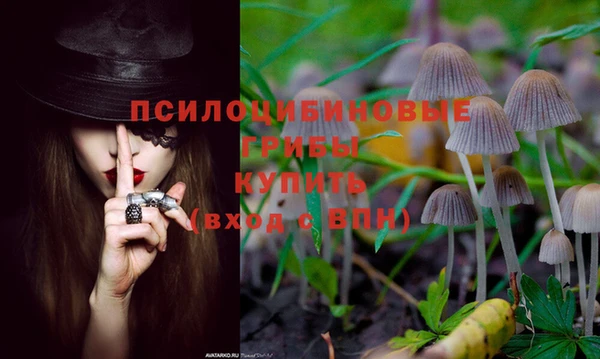 прущая мука Аркадак