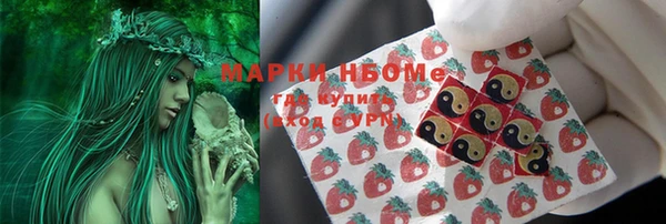 ешки Алексин