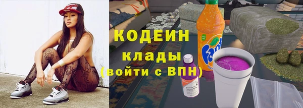 трава Арсеньев
