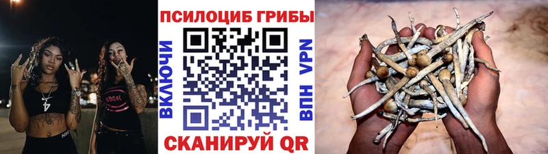 Галлюциногенные грибы Cubensis  мега рабочий сайт  Тара 
